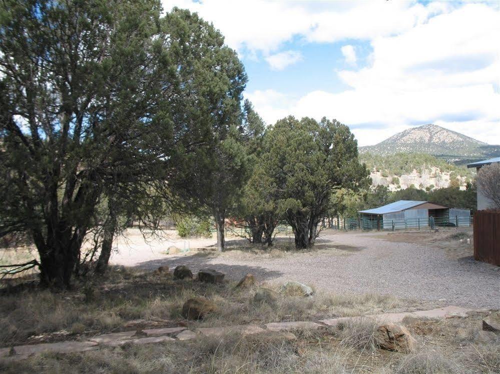 Bear Mountain Lodge Silver City Dış mekan fotoğraf